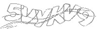 Check code